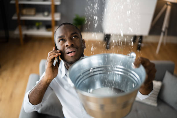 Best Professional water damage repair  in Mayfield Heights, OH