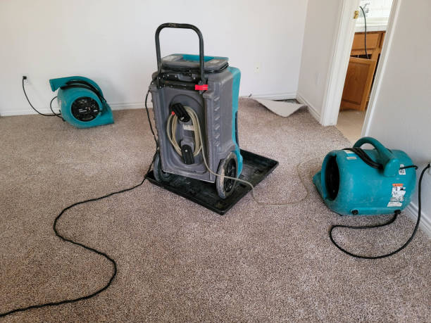 Best 24-hour water damage restoration  in Mayfield Heights, OH