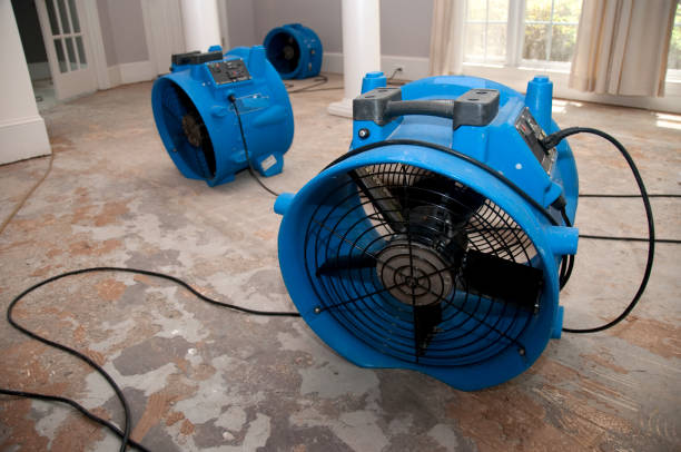 Best Water damage cleanup near me  in Mayfield Heights, OH