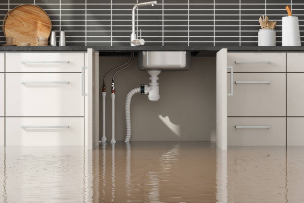 Best Fire Damage Restoration  in Mayfield Heights, OH