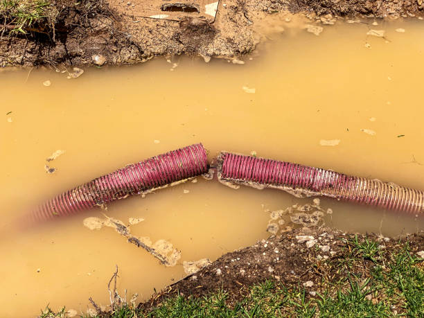 Best Basement water damage restoration  in Mayfield Heights, OH