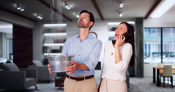 Best Ceiling water damage repair  in Mayfield Heights, OH