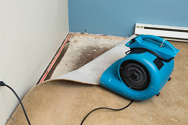 Best Sewage cleanup and water damage restoration  in Mayfield Heights, OH